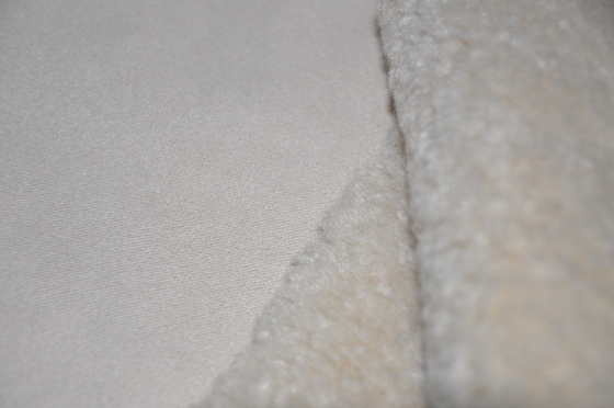 Shu Velveteen Coating Woven Fabric-Suède610gsm Bont