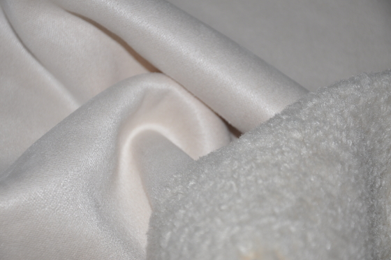 Shu Velveteen Coating Woven Fabric-Suède610gsm Bont