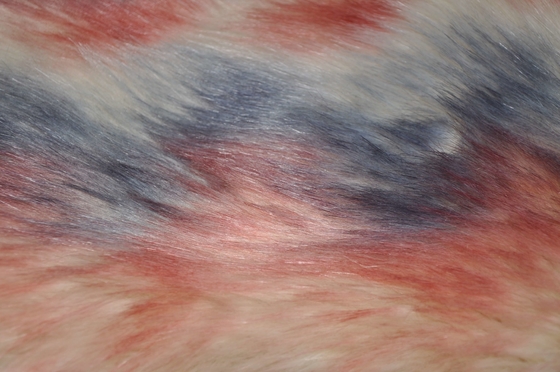 Gradiënt drie kleuren snakt Stof 150cm van het Haarbont Valse Vos, uiteindelijk warmte en comfort voor het decor van het de winterhuis verstrekken