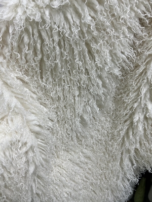 Witte Perzische wol krullend en unieke high-end kleding.